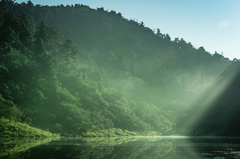 Shopify的持续发展方针